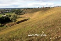 Болтуш курык. М.Скобелевын фотожо