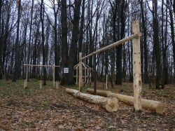 Саваран ото